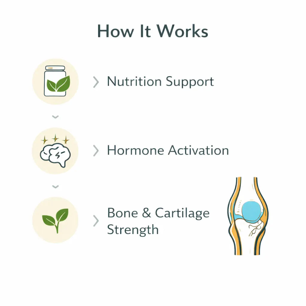 Growth Plus Gummies Rupurva | Wellness made Simple