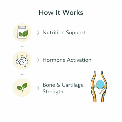 Growth Plus Gummies Rupurva | Wellness made Simple