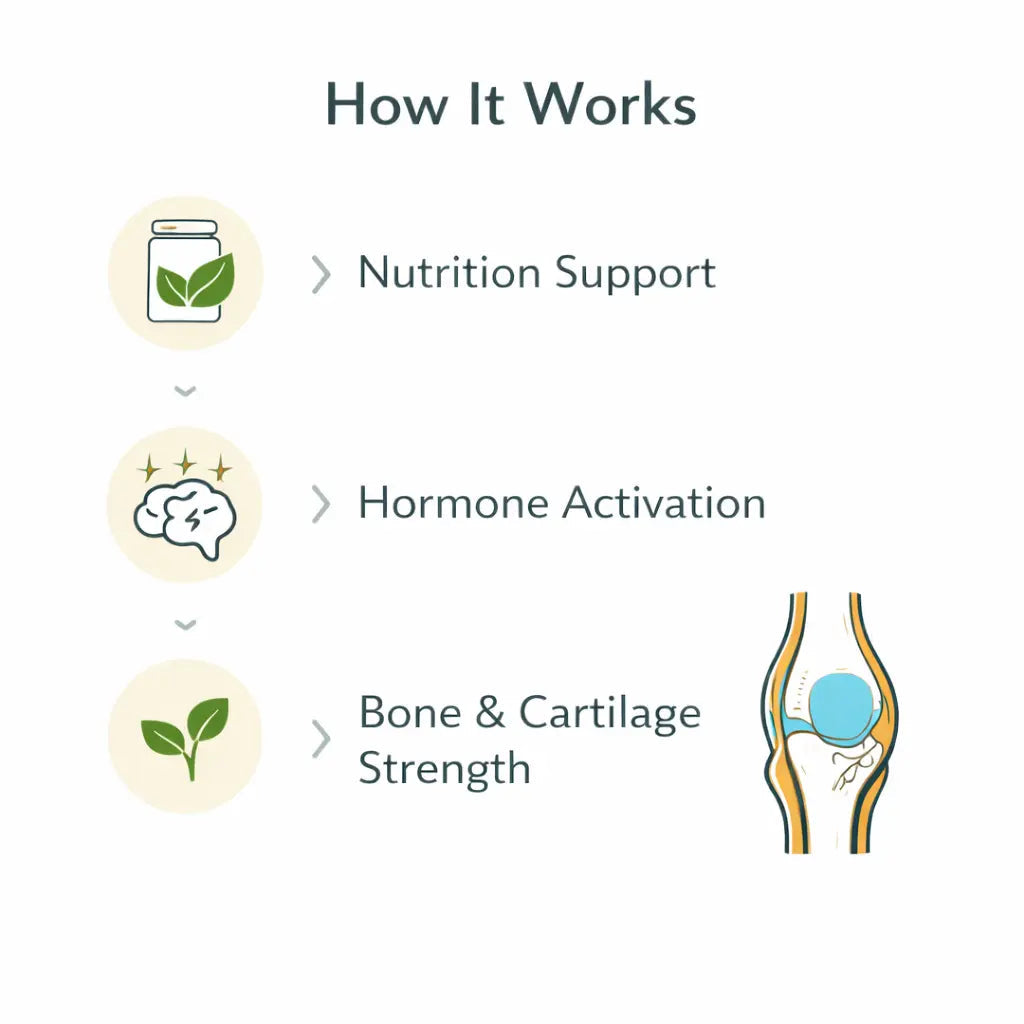 Growth Plus Gummies - Rupurva | Wellness made Simple