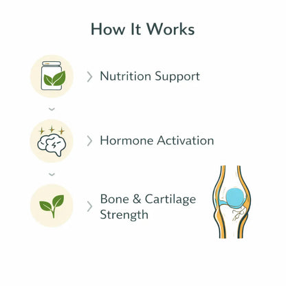 Growth Plus Gummies - Rupurva | Wellness made Simple